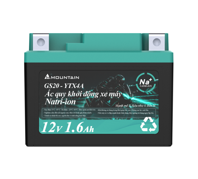 GS20-YTX4A